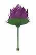 Artichoke - Grow a Garden crop