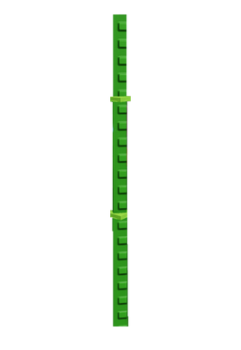Bamboo - Grow a Garden crop