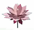 Cyclamen - Grow a Garden crop