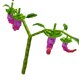 Dragon Pepper - Grow a Garden crop