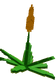 Succulent - Grow a Garden crop