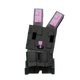 Black Bunny pet