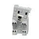 Polar Bear pet