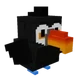 Toucan pet