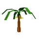 Banana crop
