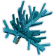 Dragon Sapling crop