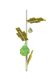 Easter Egg - Grow a Garden Crop