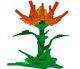 Ember Lily crop