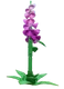 Foxglove crop