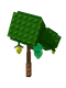 Lemon crop