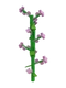 Lilac crop