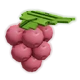 Lingonberry crop