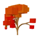 Mango crop