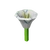 Moonflower crop