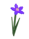 Nightshade crop