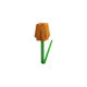 Orange Tulip crop