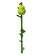 Pear crop
