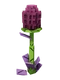Violet Corn - Grow a Garden Crop